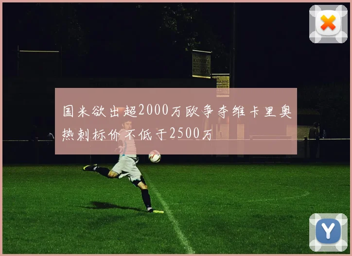 国米欲出超2000万欧争夺维卡里奥热刺标价不低于2500万