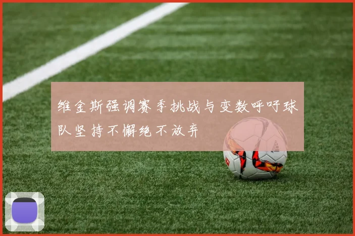 维金斯强调赛季挑战与变数呼吁球队坚持不懈绝不放弃