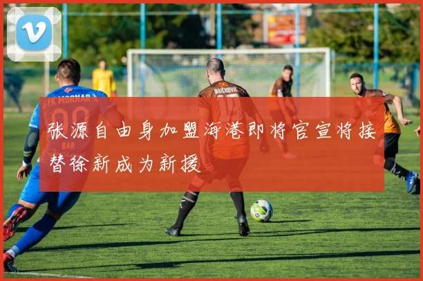 张源自由身加盟海港即将官宣将接替徐新成为新援