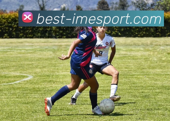 IM电竞平台生态图