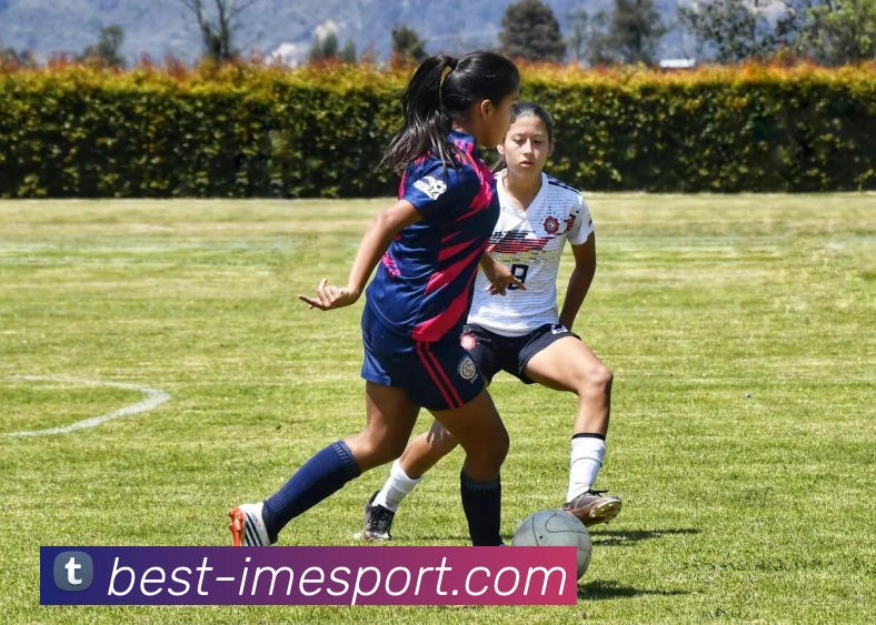 IM电竞APP 封面图